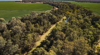 La Caisse and the CEFC create scaled ag and carbon platform Meldora La Caisse and the CEFC create scaled ag and carbon platform Meldora