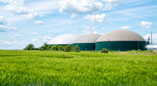 CEFC Investment Insights: Make it happen, Australia’s bioenergy transformation