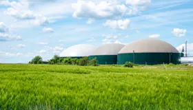 CEFC Investment Insights: Make it happen, Australia’s bioenergy transformation CEFC Investment Insights: Make it happen, Australia’s bioenergy transformation