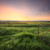 Global accolades for CEFC natural capital investments