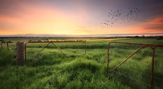 Global accolades for CEFC natural capital investments Global accolades for CEFC natural capital investments