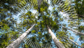 CEFC Investment Update