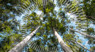 CEFC Investment Update