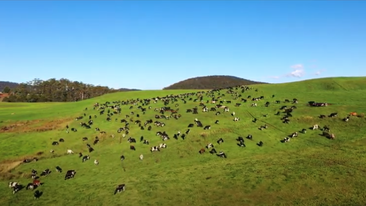 Clean energy upgrades for Tasmanian Dairy Farm