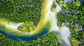 Australia launches its sustainable finance taxonomy: a major milestone for green investment Australia launches its sustainable finance taxonomy: a major milestone for green investment