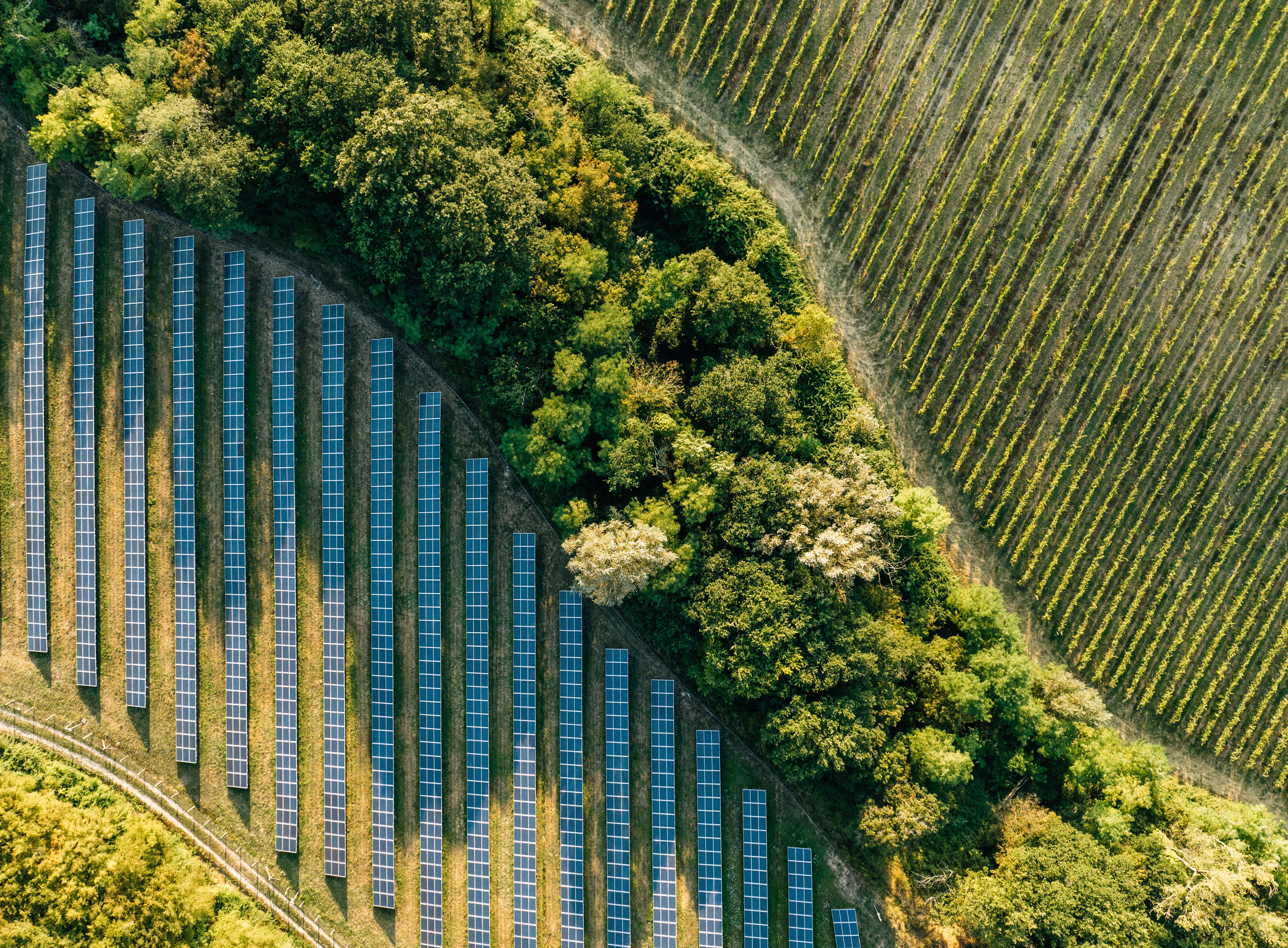 Cefc Wwi Landingpage 1Bc