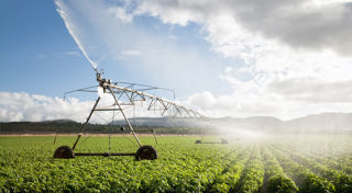 CEFC Investment Insights: Make it happen, cleaner, greener business agriculture