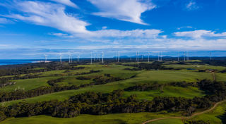 Cattle farm has exceptional wind farm resources