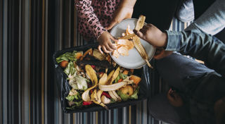 Composting and the circular economy