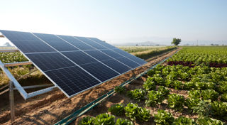CEFC Investment Insights: Clean energy and asset finance