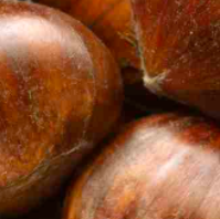 Chestnuts For Agribusiness Page