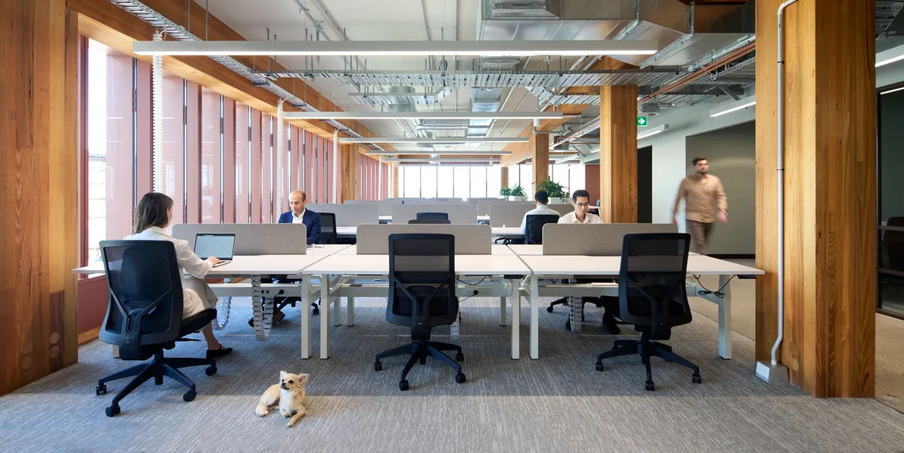 T3 Interior (1)