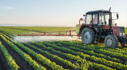Image of Agribusiness Image of Agribusiness