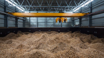 Image of Bioenergy Image of Bioenergy
