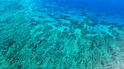 Image of Reef Funding Program Image of Reef Funding Program