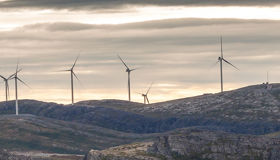 wind farm wind farm