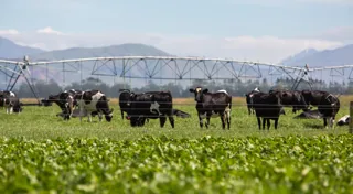 CEFC finance sows seeds of innovation with  agrifood tech VC fund CEFC finance sows seeds of innovation with  agrifood tech VC fund