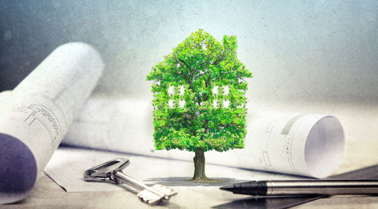 Image of Cleaner, greener homes Image of Cleaner, greener homes