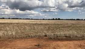 Numurkah Solar Farm puts the green in steel