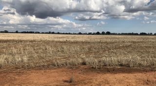 Numurkah Solar Farm puts the green in steel