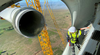 Collector Wind Farm