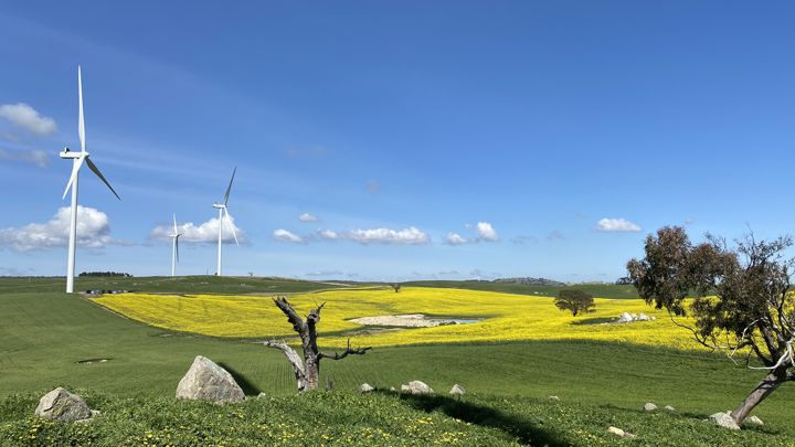 Accelerating clean energy investment: Collector Wind Farm