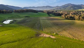 NAB agribusiness loans back farmers investing in a more sustainable future NAB agribusiness loans back farmers investing in a more sustainable future