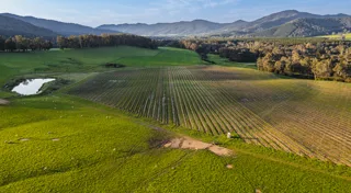 NAB agribusiness loans back farmers investing in a more sustainable future NAB agribusiness loans back farmers investing in a more sustainable future