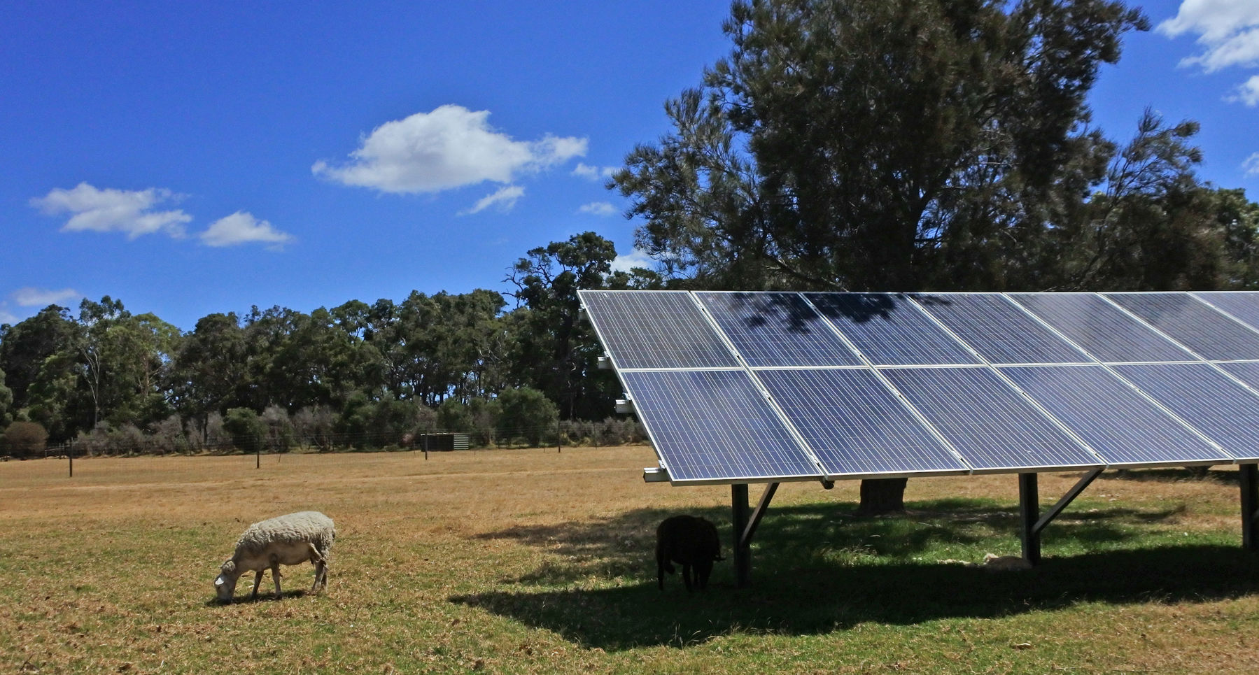 Octopus Australia reaches financial close on the $900 million Blind Creek Solar Farm and Battery project