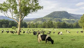 Targeting land regeneration, carbon sequestration, biodiversity and sustainable food production   Targeting land regeneration, carbon sequestration, biodiversity and sustainable food production