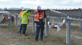 Moree Solar Farm demonstrates future for large-scale solar projects 