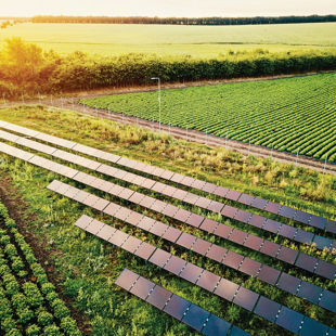 CEFC Snapshot Agriculture Pg 1 Cover CEFC Snapshot Agriculture Pg 1 Cover
