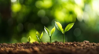 CEFC backs transformative farming to regenerate farms and reduce carbon CEFC backs transformative farming to regenerate farms and reduce carbon