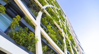 CEFC and Artesian investment to link issuers and investors in exciting green bond market
