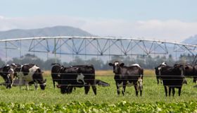 Tenacious Ventures backs green agtech