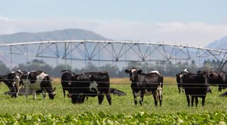 Tenacious Ventures backs green agtech
