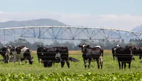Tenacious Ventures backs green agtech Tenacious Ventures backs green agtech