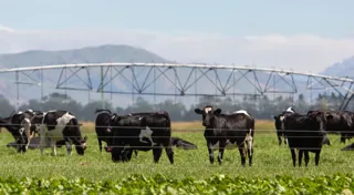 Tenacious Ventures backs green agtech Tenacious Ventures backs green agtech