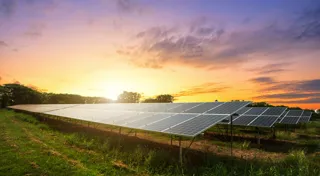 Renewable energy projects provide green shoots for Gippsland Renewable energy projects provide green shoots for Gippsland