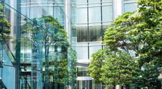 Ellerston Capital eyes fast-growing climate tech economy