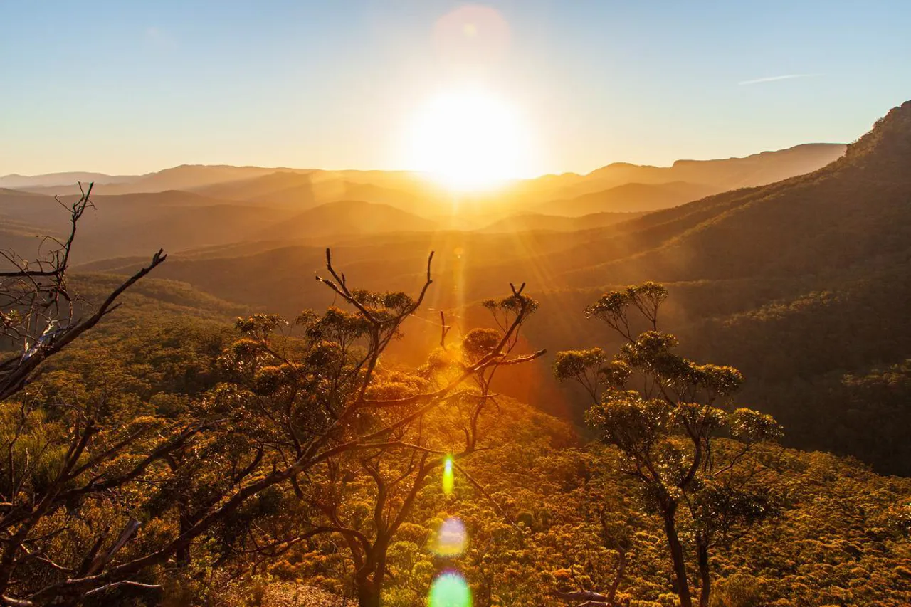 Growth Opportunities Fund