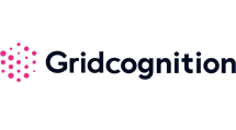 Gridcognition New