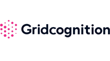 Gridcognition New Gridcognition New