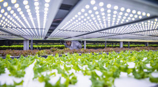 CEFC Investment Insights: Clean Energy Innovation Fund