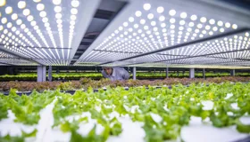 CEFC Investment Insights: Clean Energy Innovation Fund CEFC Investment Insights: Clean Energy Innovation Fund