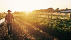 Science-led sustainable farming initiative 