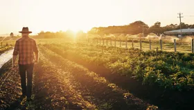 Science-led sustainability transforms Australian farmland Science-led sustainability transforms Australian farmland
