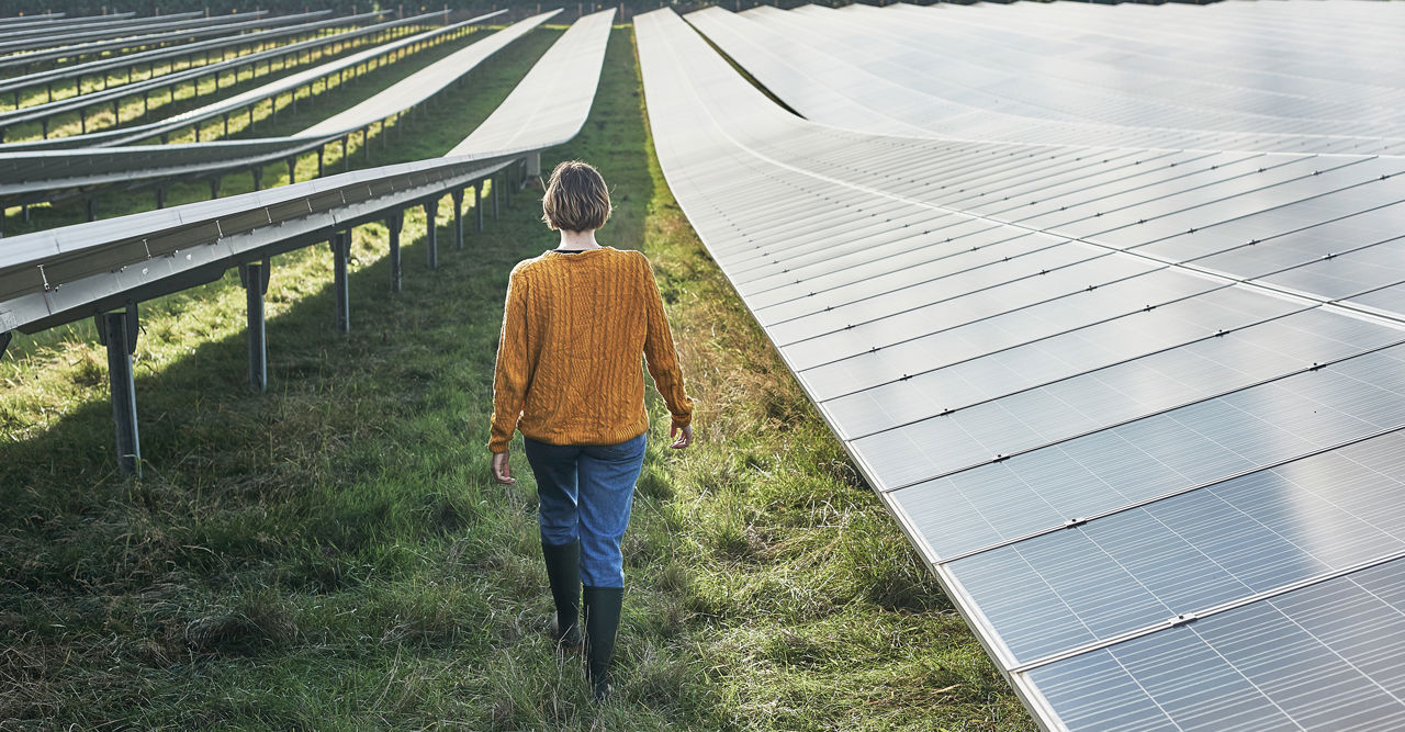 Walking Through Solar Farm