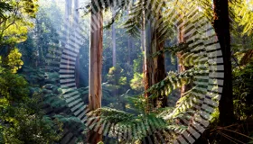 CEFC Investment Update CEFC Investment Update