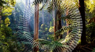 CEFC Investment Update CEFC Investment Update